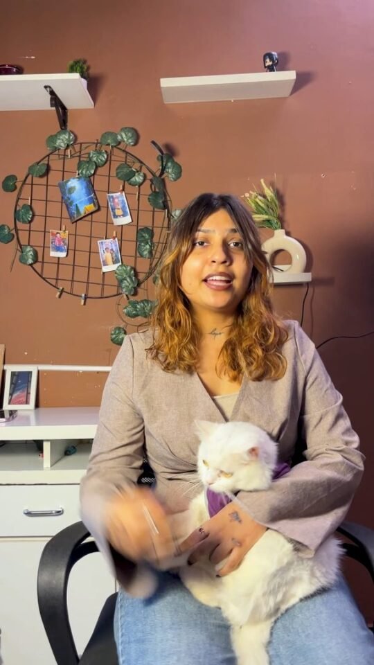 Preview frame from UGC Video
